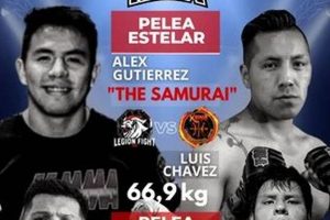 Unleash Your Inner Fighter: Ludus MMA Training | Ultimate Guide to MMA: Training, Techniques, and Top Fighters in The World