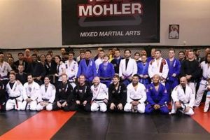 Mohler Mma Brazilian Jiu Jitsu & Boxing | Ultimate Guide to MMA: Training, Techniques, and Top Fighters in The World