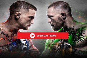 The Ultimate Guide to Watching MMA Fights | Ultimate Guide to MMA: Training, Techniques, and Top Fighters in The World