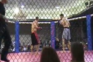 Best MMA Gyms & Training in St. Charles, MO | Ultimate Guide to MMA: Training, Techniques, and Top Fighters in The World