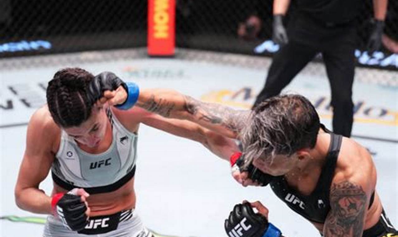 Last Night's MMA Results: Who Won the Fight? Ultimate Guide to MMA: Training, Techniques, and Top Fighters in The World Last Night's MMA Results: Who Won the Fight? | Ultimate Guide to MMA: Training, Techniques, and Top Fighters in The World