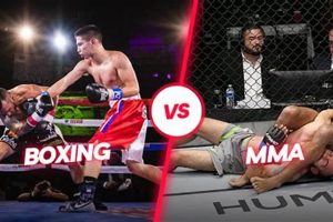 MMA vs Boxing: Comparing Fight Fatalities Ultimate Guide to MMA: Training, Techniques, and Top Fighters in The World MMA vs Boxing: Comparing Fight Fatalities | Ultimate Guide to MMA: Training, Techniques, and Top Fighters in The World