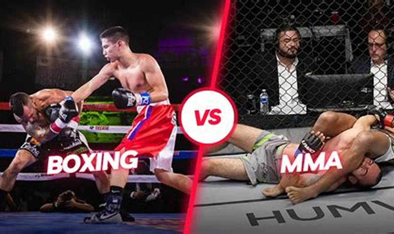 MMA vs Boxing: Comparing Fight Fatalities | Ultimate Guide to MMA: Training, Techniques, and Top Fighters in The World