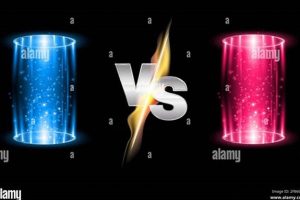 The Ultimate Portal MMA Resource Guide | Ultimate Guide to MMA: Training, Techniques, and Top Fighters in The World