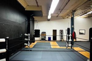 Official Red Planet MMA: Mars Fight League | Ultimate Guide to MMA: Training, Techniques, and Top Fighters in The World