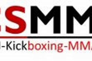 Conquer Hics in MMA: Fighter's Guide | Ultimate Guide to MMA: Training, Techniques, and Top Fighters in The World