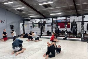 Best MMA Gyms for Adults Near You | Ultimate Guide to MMA: Training, Techniques, and Top Fighters in The World