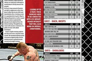 Mma Strength Routine | Ultimate Guide to MMA: Training, Techniques, and Top Fighters in The World