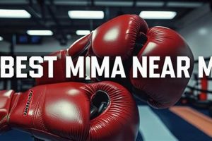 Best Top Rated MMA Gyms Near You 👍 Ultimate Guide to MMA: Training, Techniques, and Top Fighters in The World Best Top Rated MMA Gyms Near You 👍 | Ultimate Guide to MMA: Training, Techniques, and Top Fighters in The World