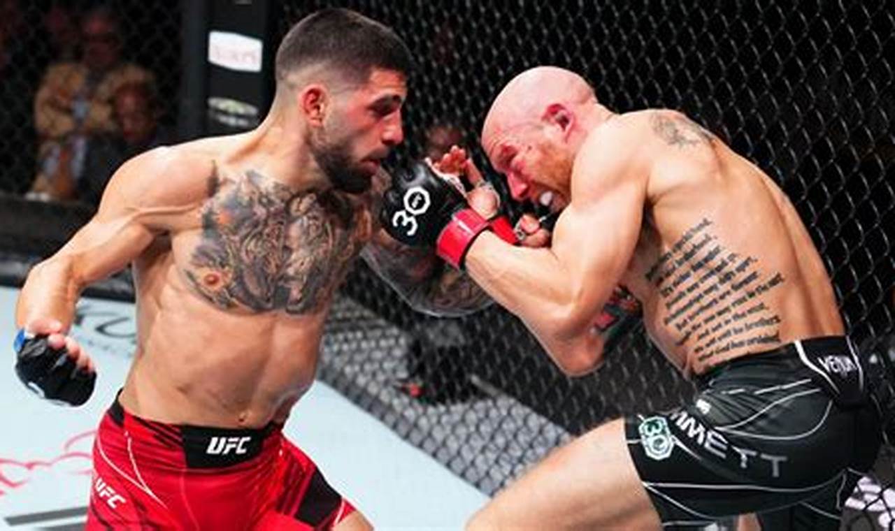 Full MMA Fight Results: Last Night's Recap | Ultimate Guide to MMA: Training, Techniques, and Top Fighters in The World