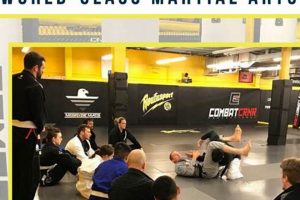 Best MMA Camps & Gyms Near Me | Find MMA Training | Ultimate Guide to MMA: Training, Techniques, and Top Fighters in The World