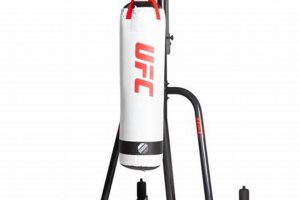 Best MMA Heavy Bag Stands: Top Picks & Guide | Ultimate Guide to MMA: Training, Techniques, and Top Fighters in The World