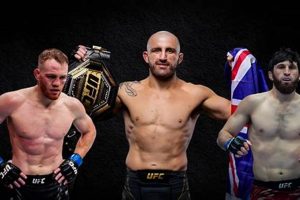 Ultimate MMA Worldwide Guide: Global Impact | Ultimate Guide to MMA: Training, Techniques, and Top Fighters in The World