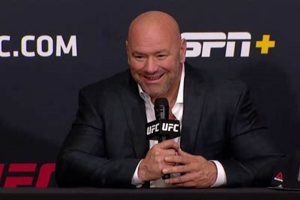 Guide to MMA Ownership: A Deep Dive | Ultimate Guide to MMA: Training, Techniques, and Top Fighters in The World