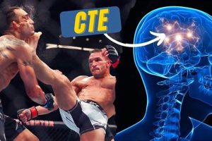 Understanding CTE Risks in MMA Fighters Ultimate Guide to MMA: Training, Techniques, and Top Fighters in The World Understanding CTE Risks in MMA Fighters | Ultimate Guide to MMA: Training, Techniques, and Top Fighters in The World
