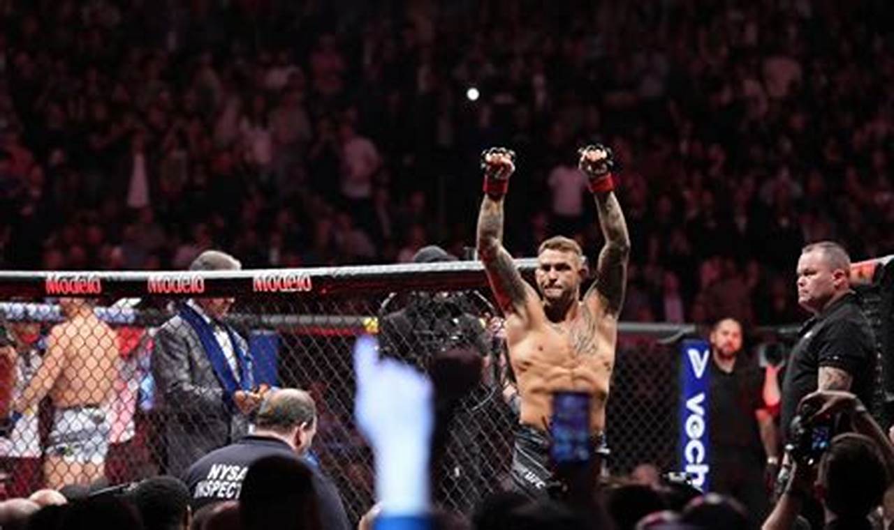 Ultimate MMA Fights: Guide & Tips Ultimate Guide to MMA: Training, Techniques, and Top Fighters in The World Ultimate MMA Fights: Guide & Tips | Ultimate Guide to MMA: Training, Techniques, and Top Fighters in The World