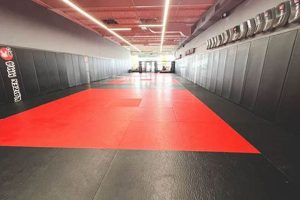 Elevate Your MMA with Kaizen Principles | Ultimate Guide to MMA: Training, Techniques, and Top Fighters in The World