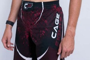Best MMA Shorts & Shirts: Top Gear Guide | Ultimate Guide to MMA: Training, Techniques, and Top Fighters in The World