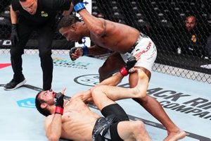 Train Like a Pro: Barlow MMA Training | Ultimate Guide to MMA: Training, Techniques, and Top Fighters in The World