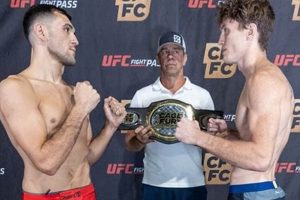 The Rise of Frank Wells MMA: Future Star? | Ultimate Guide to MMA: Training, Techniques, and Top Fighters in The World