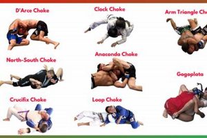 MMA Choke Guide: Types & Techniques Ultimate Guide to MMA: Training, Techniques, and Top Fighters in The World MMA Choke Guide: Types & Techniques | Ultimate Guide to MMA: Training, Techniques, and Top Fighters in The World