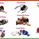 MMA Choke Guide: Types & Techniques | Ultimate Guide to MMA: Training, Techniques, and Top Fighters in The World