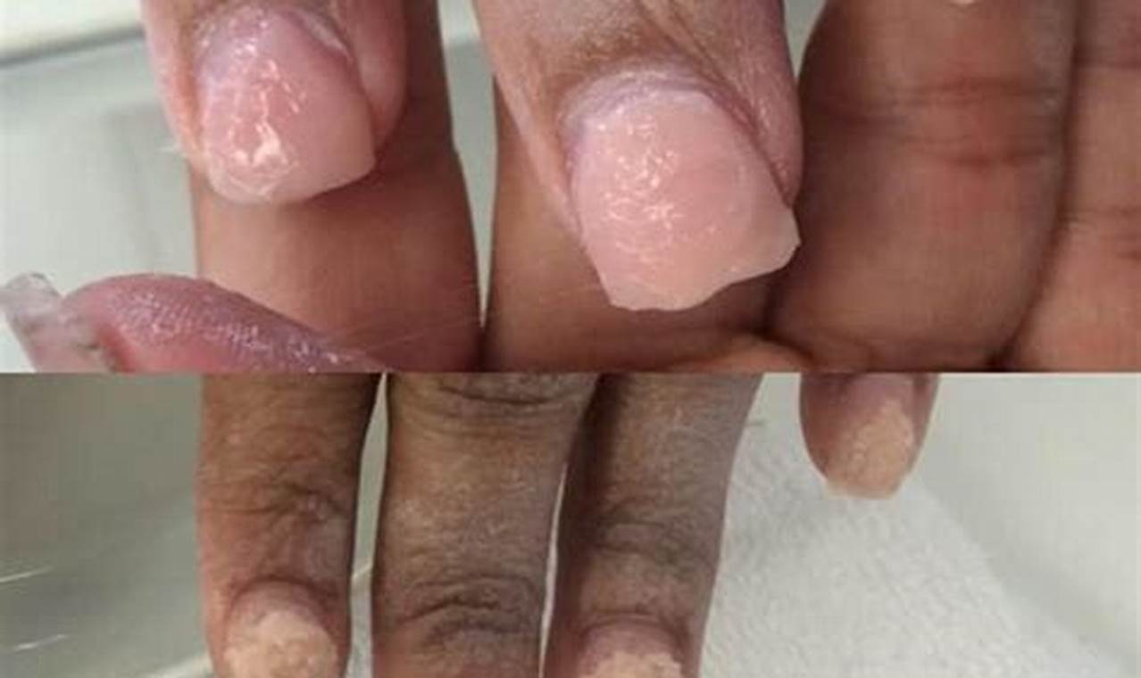 MMA Acrylic: Appearance, Colors & Finishes | Ultimate Guide to MMA: Training, Techniques, and Top Fighters in The World