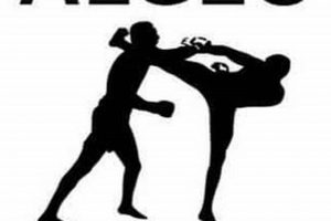 Train Algeo MMA & Kickboxing: Ultimate Guide | Ultimate Guide to MMA: Training, Techniques, and Top Fighters in The World