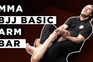 The Ultimate MMA Bar Experience | Ultimate Guide to MMA: Training, Techniques, and Top Fighters in The World