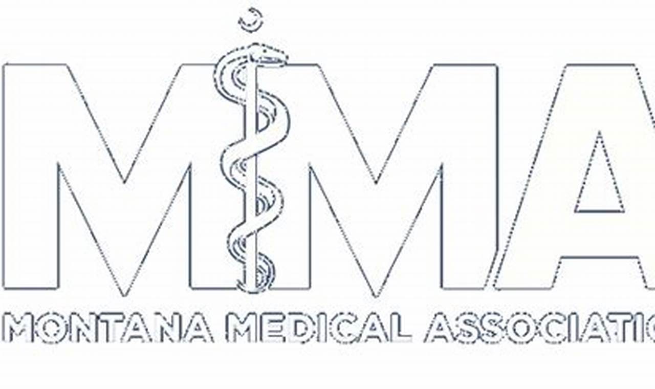 MMA Fighters & Medicaid: A Guide | Ultimate Guide to MMA: Training, Techniques, and Top Fighters in The World