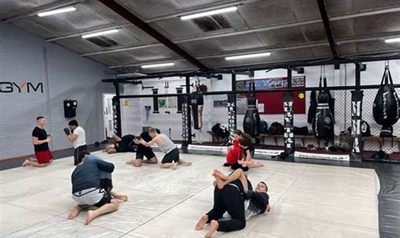 Best MMA Kickboxing Gyms Near Me | Find Your Fit Ultimate Guide to MMA: Training, Techniques, and Top Fighters in The World Best MMA Kickboxing Gyms Near Me | Find Your Fit | Ultimate Guide to MMA: Training, Techniques, and Top Fighters in The World