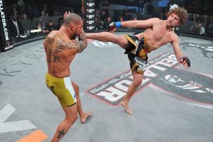 Inside MMA Underground: Unregulated Fights | Ultimate Guide to MMA: Training, Techniques, and Top Fighters in The World