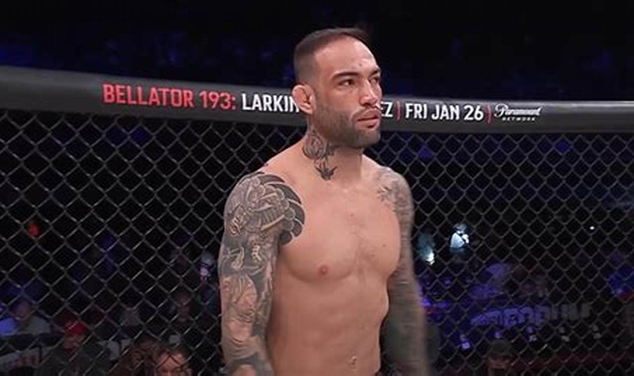 Unleash the MMA Bomba: Explosive Power Ultimate Guide to MMA: Training, Techniques, and Top Fighters in The World Unleash the MMA Bomba: Explosive Power | Ultimate Guide to MMA: Training, Techniques, and Top Fighters in The World