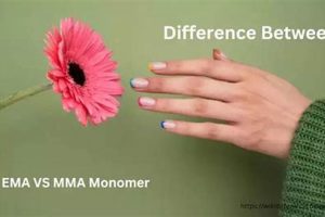 Mma Ema Difference | Ultimate Guide to MMA: Training, Techniques, and Top Fighters in The World