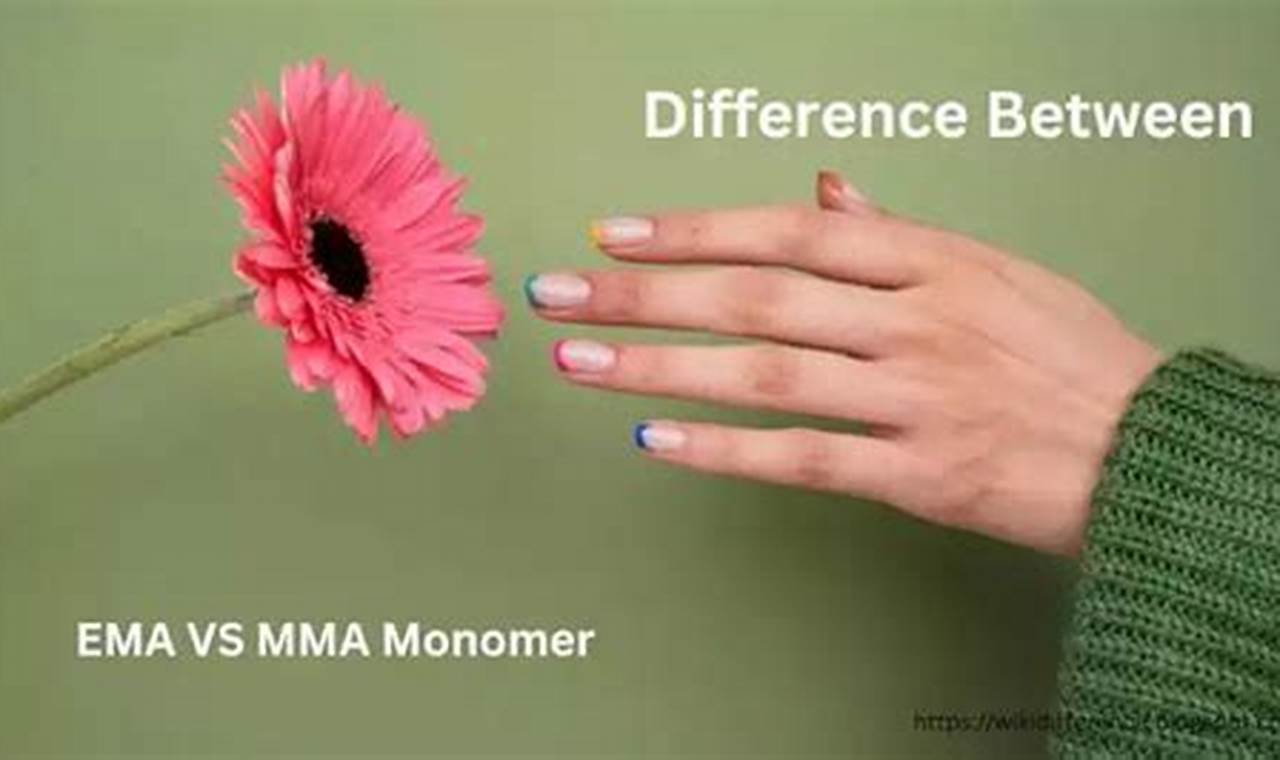 Mma Ema Difference | Ultimate Guide to MMA: Training, Techniques, and Top Fighters in The World