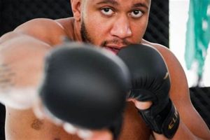 Ultimate MMA J: Judging Guide | Ultimate Guide to MMA: Training, Techniques, and Top Fighters in The World