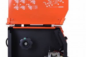 Taiwan MMA Fans Gather on PTT Forum | Ultimate Guide to MMA: Training, Techniques, and Top Fighters in The World