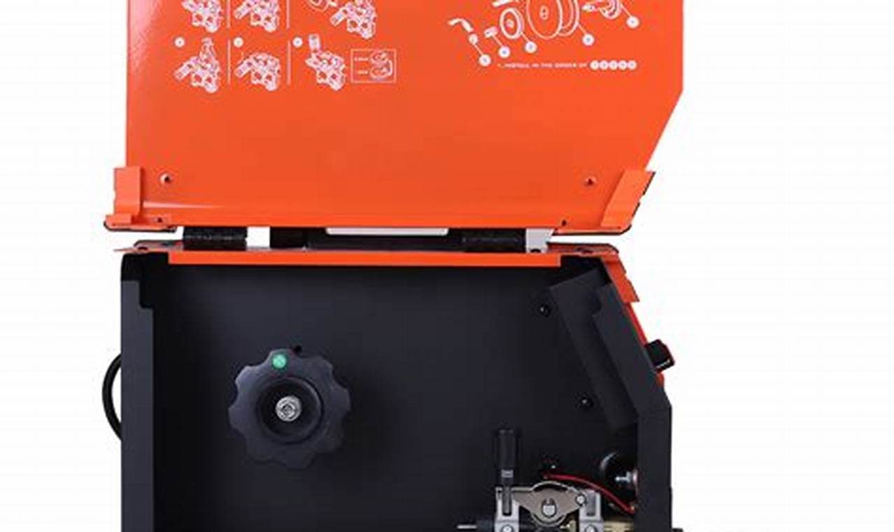 Taiwan MMA Fans Gather on PTT Forum | Ultimate Guide to MMA: Training, Techniques, and Top Fighters in The World