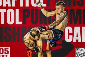 Train Like a Pro at Capitol MMA Center | Ultimate Guide to MMA: Training, Techniques, and Top Fighters in The World