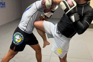 Top MMA Gyms & Training in Coral Springs, FL | Ultimate Guide to MMA: Training, Techniques, and Top Fighters in The World