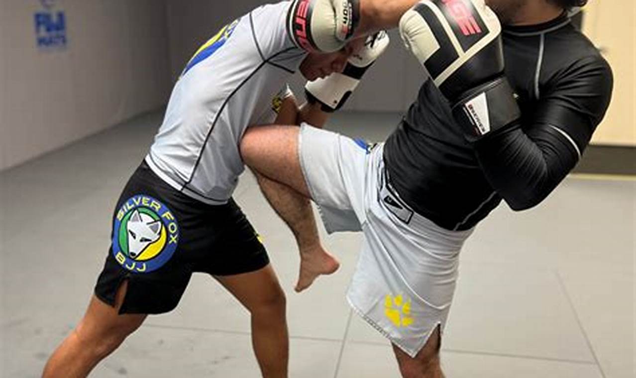 Top MMA Gyms & Training in Coral Springs, FL | Ultimate Guide to MMA: Training, Techniques, and Top Fighters in The World