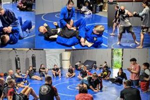 Train at Apex MMA Covington: Top MMA Gym | Ultimate Guide to MMA: Training, Techniques, and Top Fighters in The World