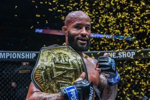 The Ultimate Guide to MMA Johnson | Ultimate Guide to MMA: Training, Techniques, and Top Fighters in The World