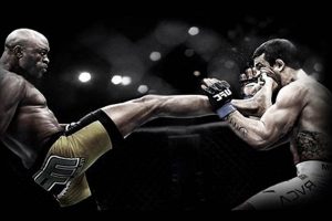 Top MMA Wallpapers & Backgrounds | Ultimate Guide to MMA: Training, Techniques, and Top Fighters in The World