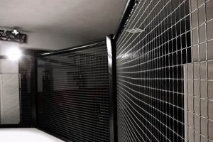 Can You Tickle in MMA? Fact vs. Fiction | Ultimate Guide to MMA: Training, Techniques, and Top Fighters in The World