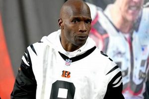 Chad Johnson's MMA Debut: From NFL to Octagon | Ultimate Guide to MMA: Training, Techniques, and Top Fighters in The World