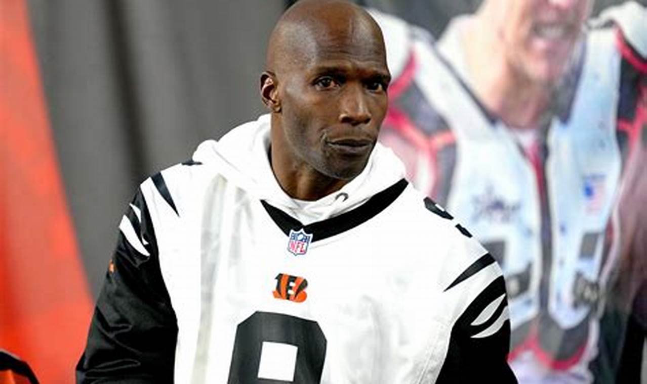 Chad Johnson's MMA Debut: From NFL to Octagon | Ultimate Guide to MMA: Training, Techniques, and Top Fighters in The World