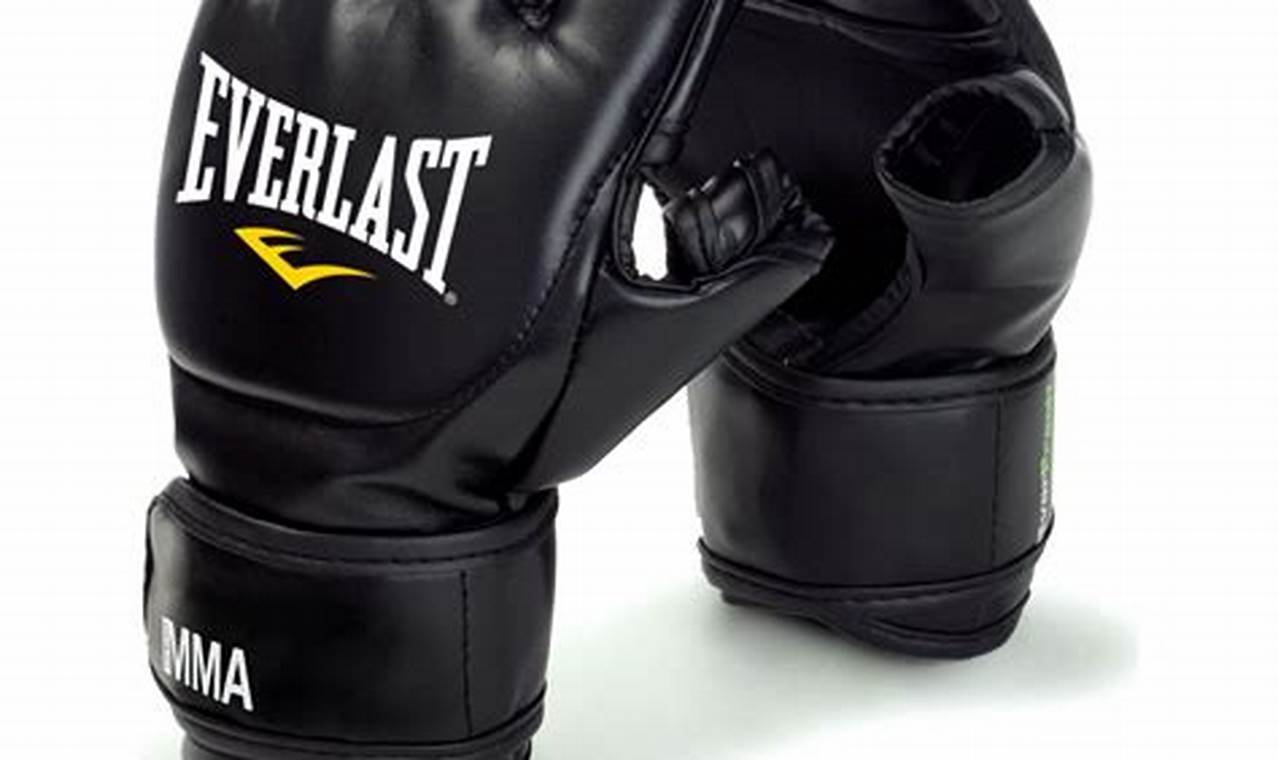 Top Everlast MMA Gear & Training Guides | Ultimate Guide to MMA: Training, Techniques, and Top Fighters in The World