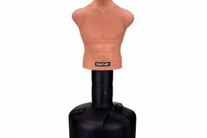 The Rise of Bob MMA: A Fighter's Journey | Ultimate Guide to MMA: Training, Techniques, and Top Fighters in The World