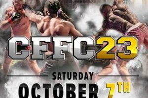 The Chosen Few: MMA's Elite Fighters | Ultimate Guide to MMA: Training, Techniques, and Top Fighters in The World